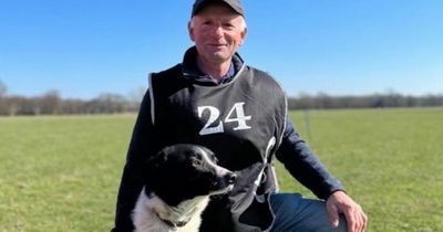 Dog deemed 'too energetic' for Manchester competes for England as a sheepdog