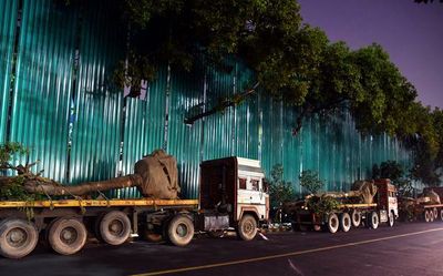 Central Vista projects | 1,051 trees removed and transplanted at other locations so far, says Minister