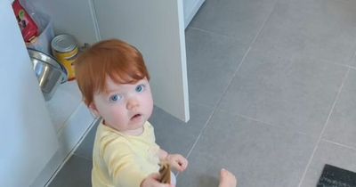 Watch: Toddler still fetches treats from cupboard for best pal dog each day - not understanding beloved pooch has died