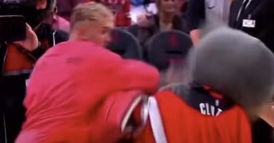 Jake Paul KOs basketball mascot with right hook to leave bear facedown on court