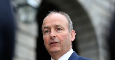 Taoiseach Micheal Martin responds to Eamon Ryan's calls for people to spend less time in the shower