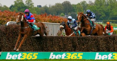 Never miss a horse running again with ‘My Horses’ from bet365