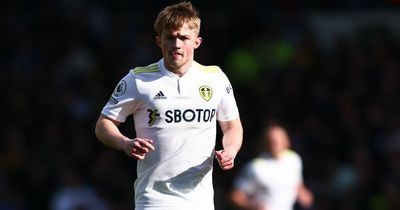 Former Premier League referee believes Leeds United should have had a penalty vs Southampton