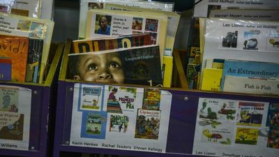 Book ban efforts hit highest level in at least 20 years, report says