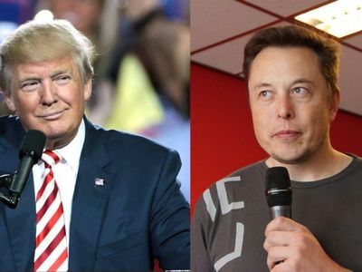 Why This Investor Is Betting Against Donald Trump, Cathie Wood And Elon Musk Right Now