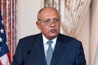 Egypt says Arab countries are willing to mediate between Russia, Ukraine