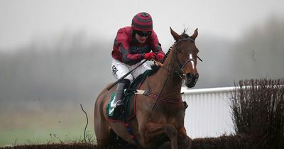 Grand National 2022: Market mover Eclair Surf a doubtful runner as line-up takes shape