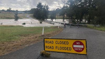 Warwick avoids flooding, emergency alert for another southern Queensland town as BOM predicts more rain