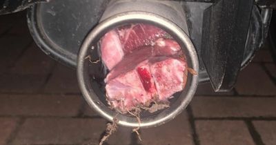 Lamb chops stuffed in car exhaust amid spate of mystery meat attacks