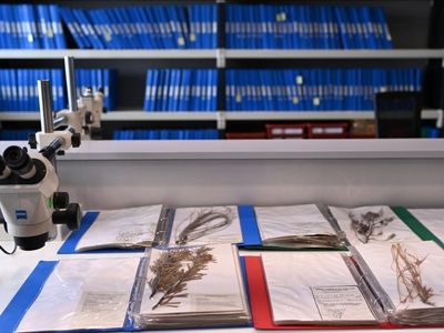 New high-tech home for priceless treasures