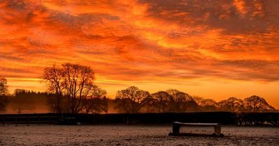 Met Office forecasts warmer temperatures before 'Jack Frost returns' with a sting