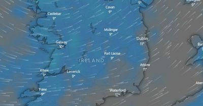 Dublin weather: Met Eireann forecasts wintry showers as cold snap grips Ireland