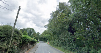 Co Down road closed after crash