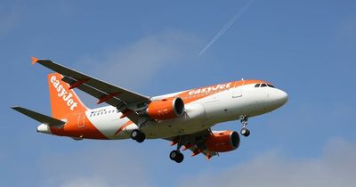 Full list of flight cancellation policies with easyJet, Ryanair, Jet2, TUI, British Airways and more