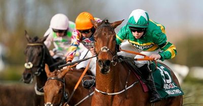 Grand National sweepstake 2022 sweepstake kit - Download and print runners ahead of Aintree race on Saturday