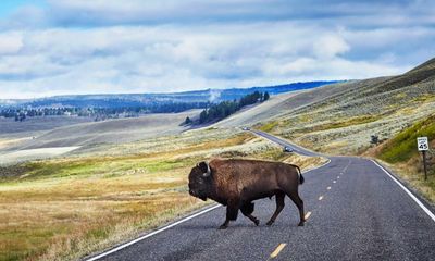 Yellowstone national park offers an annual pass – that won’t work until 2172