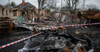 Hundreds of dogs found starved to death at Ukrainian shelter after Russian invasion