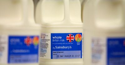 Experts warn milk prices are set to soar by 50% as farming costs rise