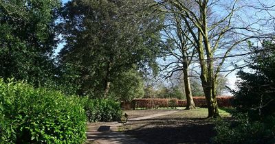 Boy, 15, arrested after teenager attacked with 'metal pole' in park