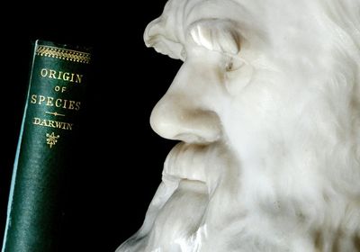 Missing Charles Darwin notebooks returned to Cambridge University