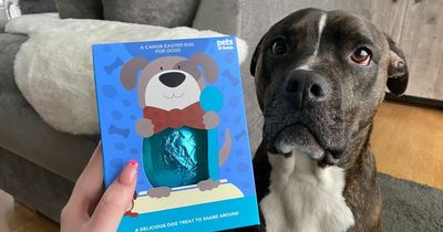 I got my dogs a pet-friendly Easter Egg so they don't miss out on all the fun