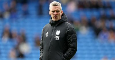 Steve Morison's Cardiff City team selection just got a whole lot harder after Swansea City demolition and this is why