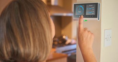 Huge smart meter change could 'lower energy bills' next month in major shake-up