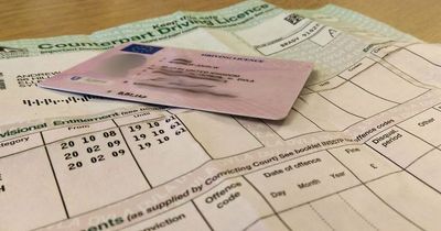 DVLA issues update on driving licence application and log book waiting times
