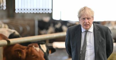 Boris Johnson losing countryside support as rural voters desert Tories in droves