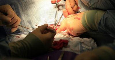 China harvesting organs from living prisoners for transplants, new research claims