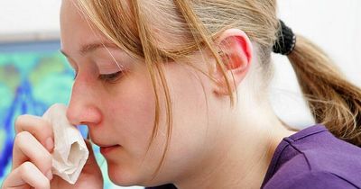 Rhinovirus Ireland: HSE advises people with these symptoms to stay at home