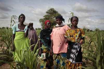 West Africa has worst food crisis in decade, aid groups say