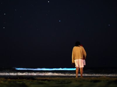 New Zealand’s North Island shores lit up with stunning ‘aurora of the sea’ luminous plankton