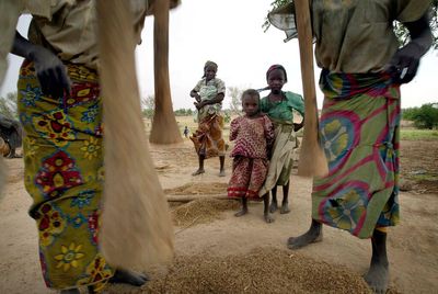 Oxfam, others: West Africa facing worst food crisis in a decade