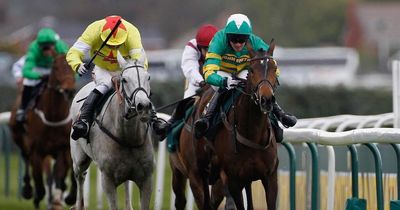 Grand National 2022: How many grey horses are running and what are their odds?