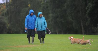 Decision due on controversial new sewage pumping station planned for Cardiff park