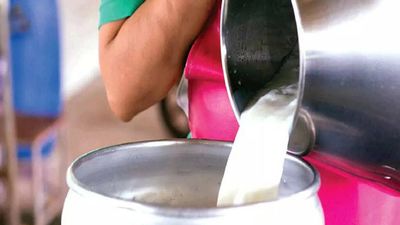 Milk prices to remain firm: Amul MD