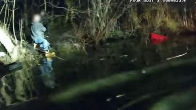 Water Hero: Cops Save Mum And Babies From Car In Freezing Pond