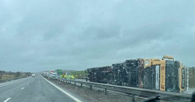 Lorry overturns and halts traffic on Scots motorway as driver makes lucky escape