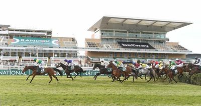 How many horses have died at the Grand National?