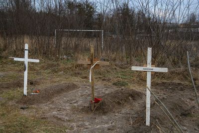 Ukraine's ombudswoman says up to 300 bodies may be in Bucha mass grave