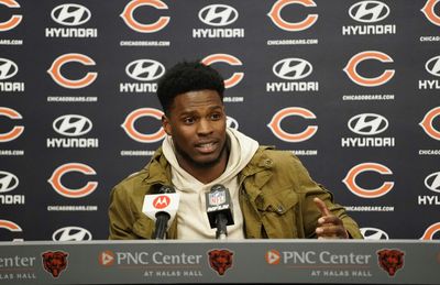 Bears reveal jersey numbers for new players