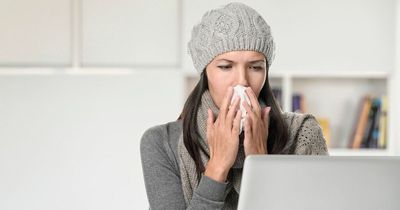 Is it a cold, Covid or something else? The symptoms you need to look out for