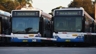 Sydney news: Rain set to return to the Harbour City, bus drivers to strike next week