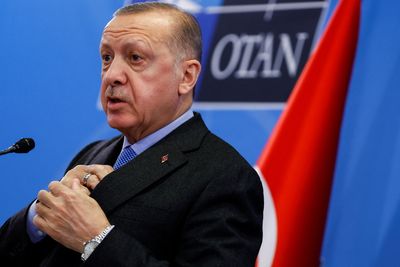 Tunisia calls Erdogan comments 'unacceptable interference' in internal affairs
