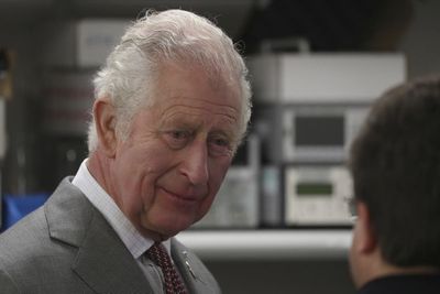 Almost half of Britons think Charles should step aside for William, poll finds