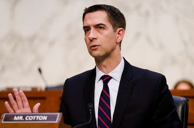 ‘Absolutely shameful’: Tom Cotton condemned for suggesting Ketanji Brown Jackson would defend Nazis at Nuremberg
