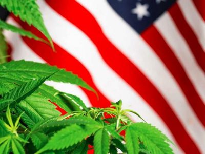 Update: DC's Council Rejects Bill To Establish A System Of Recreational Cannabis Commerce