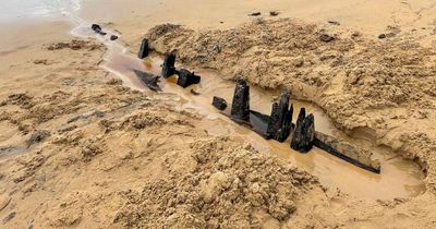 Mysterious old shipwreck resurfaces on south coast beach after huge swells