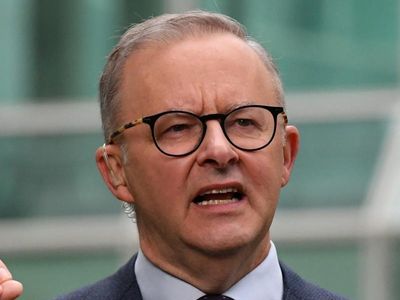 'Childish' LNP trick blasted by Albanese